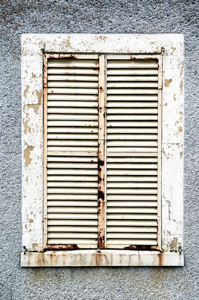 the beauty of decay 1 by Rogier de Bode