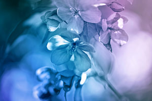blues