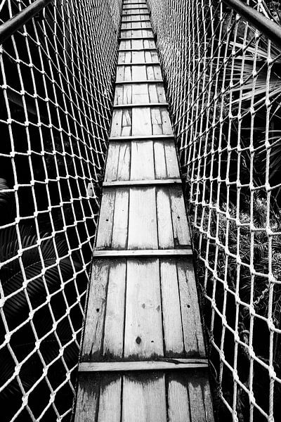 Pont suspendu l'image en noir et blanc par Falko Follert