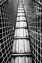 Pont suspendu l'image en noir et blanc par Falko Follert Aperçu