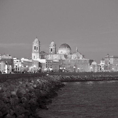 Zomeravond bij de kathedraal van Cádiz - Skyline - monochroom