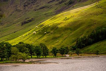 Sheepfold on a lake in the Lake District UK by Herman Coumans