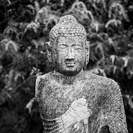 Boeddha by Remke Kwant