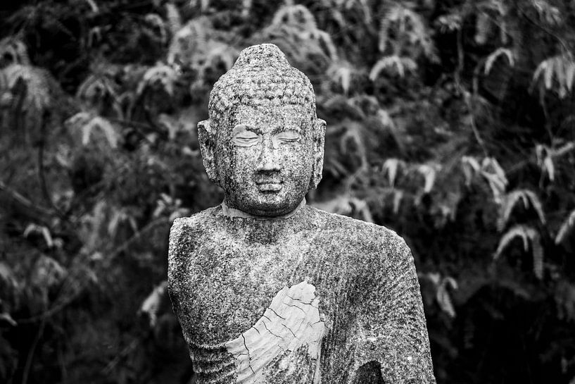 Boeddha by Remke Kwant