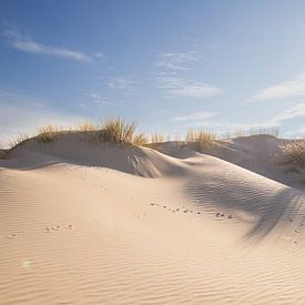 Shadows on the sand by Louise Poortvliet