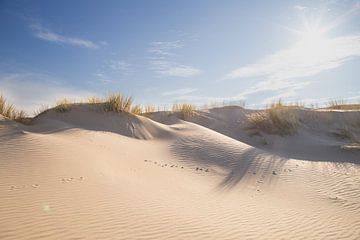 Schaduwen op het zand