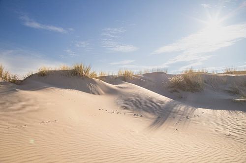 Shadows on the sand by Louise Poortvliet