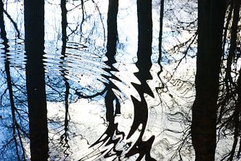 Abstracte weerspiegeling boom met grafisch effect