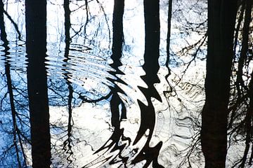 Abstrakter Reflexionsbaum mit grafischem Effekt von Herman Kremer