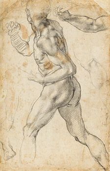 Michelangelo Buonarroti, Studie van een mannelijk naakt, 1504