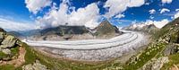 Aletsch gletsjer panorama