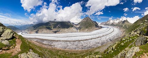 Aletschgletscher-Panorama