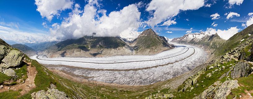 Aletschgletscher-Panorama von Dennis van de Water