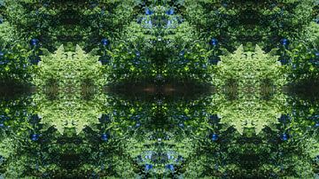 Mirrored fern leaves, water and symmetry 1