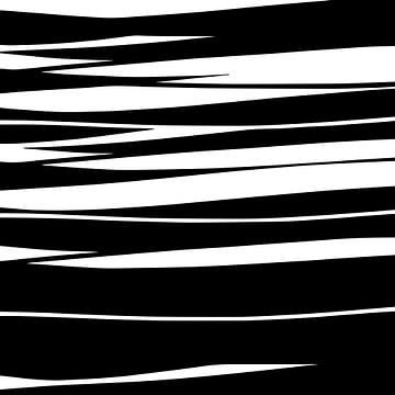Organisch 9 | Zwart & Wit Minimalistisch Abstract van Menega Sabidussi