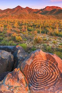 Zonsondergang in Saguaro Nationaal Park van Henk Meijer Photography