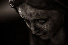 Anmut von Maurits Dekker