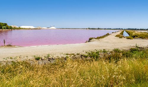 Zoutziederij in de Camargue