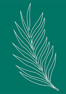 Minimalist Nature & Abstract Illustration Collection