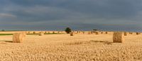 Strobalen in Annoville, Normandië