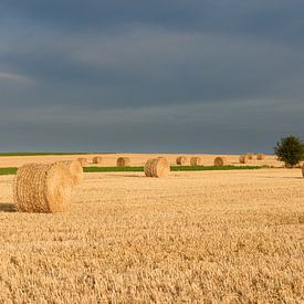 Strobalen in Annoville, Normandië van Arno Lambregtse