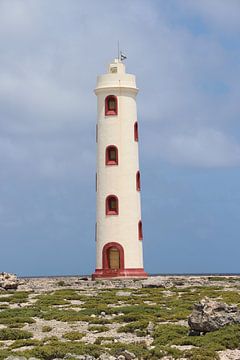 Vuurtoren Spelonk op Bonaire van Silvia Weenink