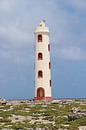 Lighthouse Spelonk on Bonaire by Silvia Weenink thumbnail