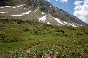 Schöne Aussichten in den Alpen