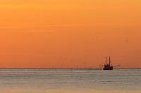 Viskotter bij zonsondergang op de Noordzee tijdens het gouden uur