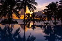 Sunset under palm trees with pool by the sea