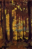 Herfst in het bos