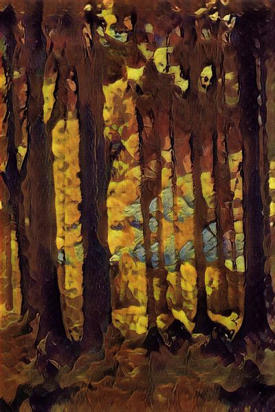 Herfst in het bos van Reina Nederland in kleur