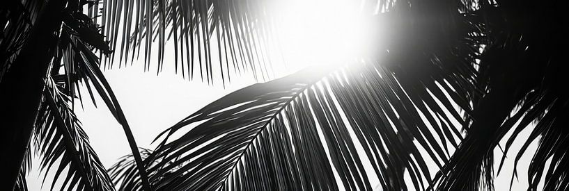 Sun rays through palm leaves by Poster Art Shop