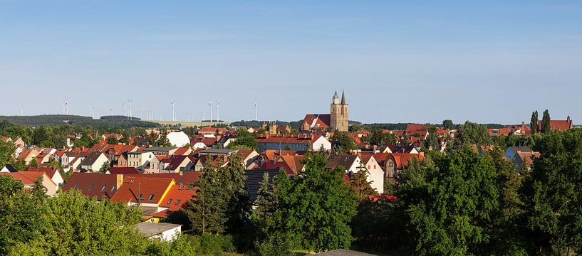 Jüterbog Panorama von Frank Herrmann