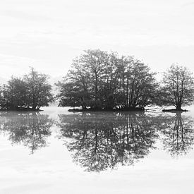 Landschap in zwart-wit van Kaat Nobelen