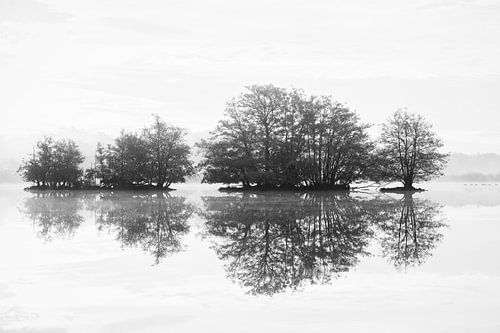 Landschaft in Schwarz und Weiß