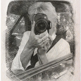 Fotografie Sybrandy profielfoto