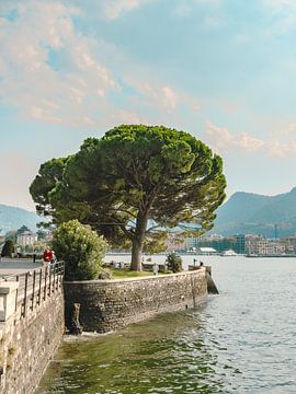 Esplanade of Como by Michael Schulz-Dostal