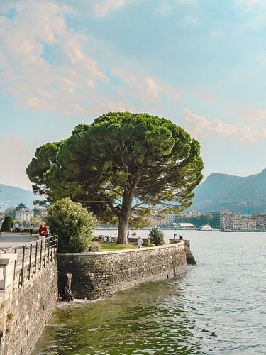 Esplanade of Como von Michael Schulz-Dostal