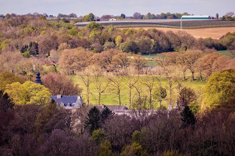 Schloss Neubourg von Rob Boon