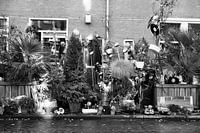 De straten van Amsterdam - tuin op de stoep