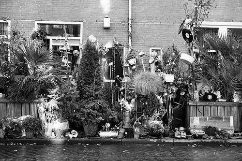 De straten van Amsterdam - tuin op de stoep