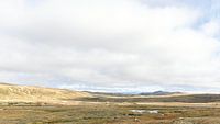 Riksvei 7 Hardangervidda