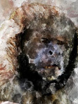 Kapucijner aap van Printed Artings