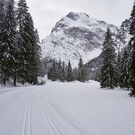 Langlaufen in een zijdal bij het Oostenrijkse dorp Pertisau van Lisanne Storm