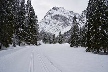 Skilanglauf in einem Seitental in der Nähe des österreichischen Dorfes Pertisau von Lisanne Storm