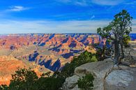 Sonnenaufgang Grand Canyon National Park von Henk Meijer Photography Miniaturansicht