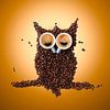 Hibou endormi fait de grains et de tasses de café sur Jolanda Aalbers