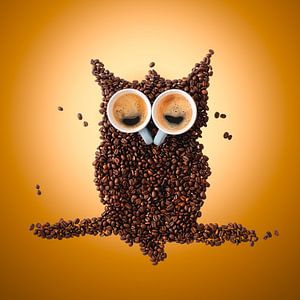 Hibou endormi fait de grains et de tasses de café