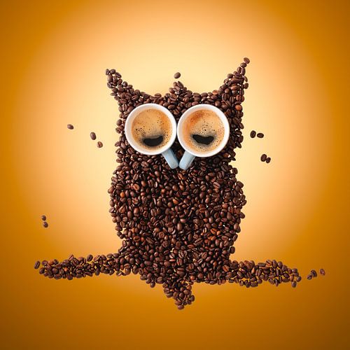 Hibou endormi fait de grains et de tasses de café